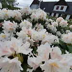 Bed and Breakfast Lysbjerggard Fåborg