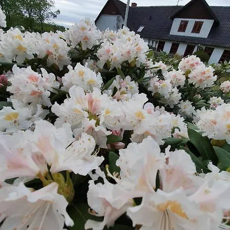 Bed and Breakfast Lysbjerggard Fåborg