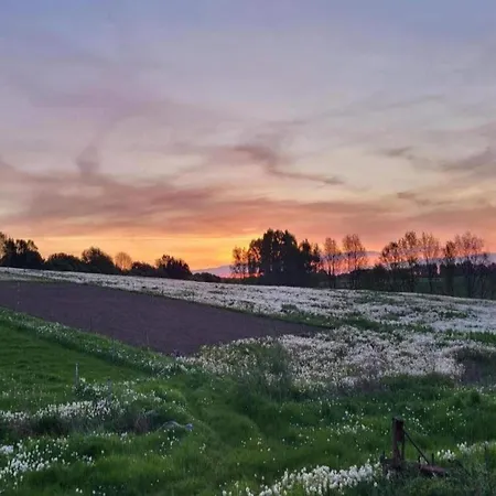 Lysbjerggard Tatil Evi