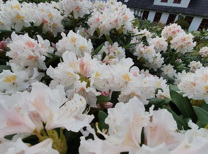 בית נופש Lysbjerggard פאבורג