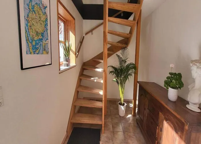 Lysbjerggard פאבורג