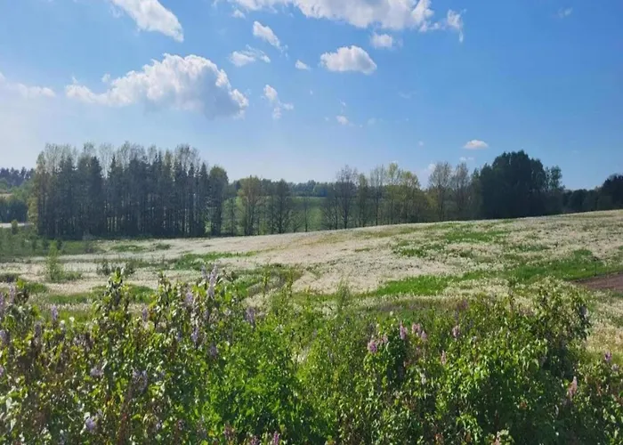 Lysbjerggard בית נופש