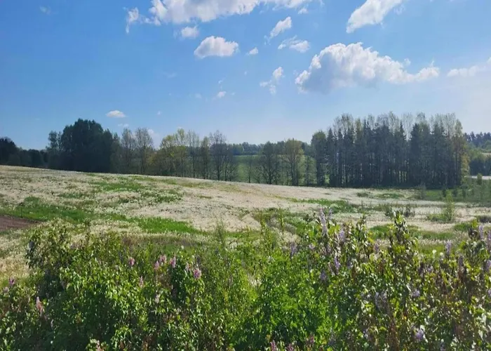 Lysbjerggard פאבורג